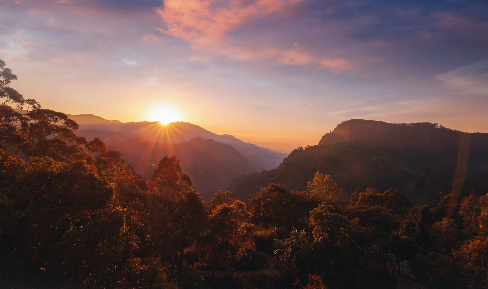 shutterstock_1390170650@2x