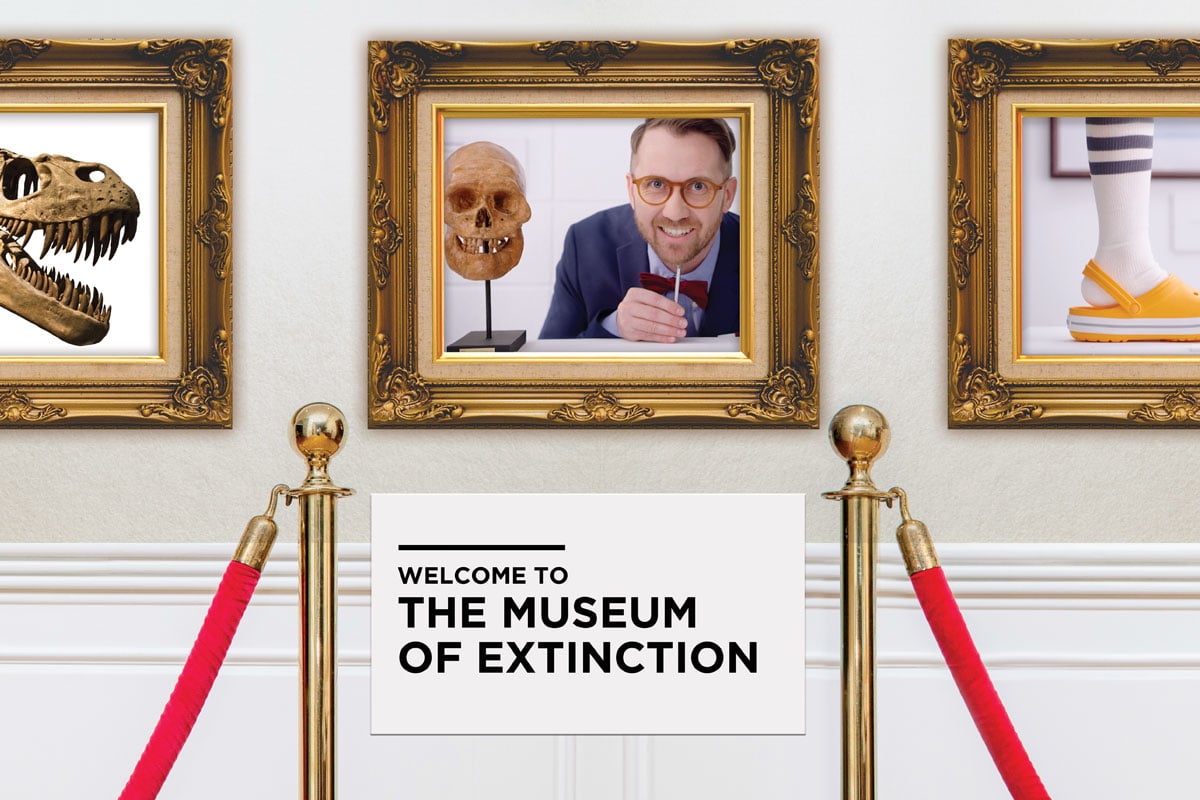 Photo of a museum gallery. Welcome to the museum of Extinction.