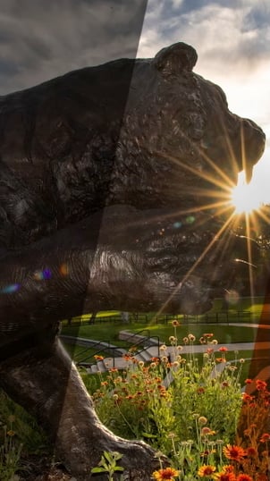 ISU_Digital Ad_vertical bckgrnd