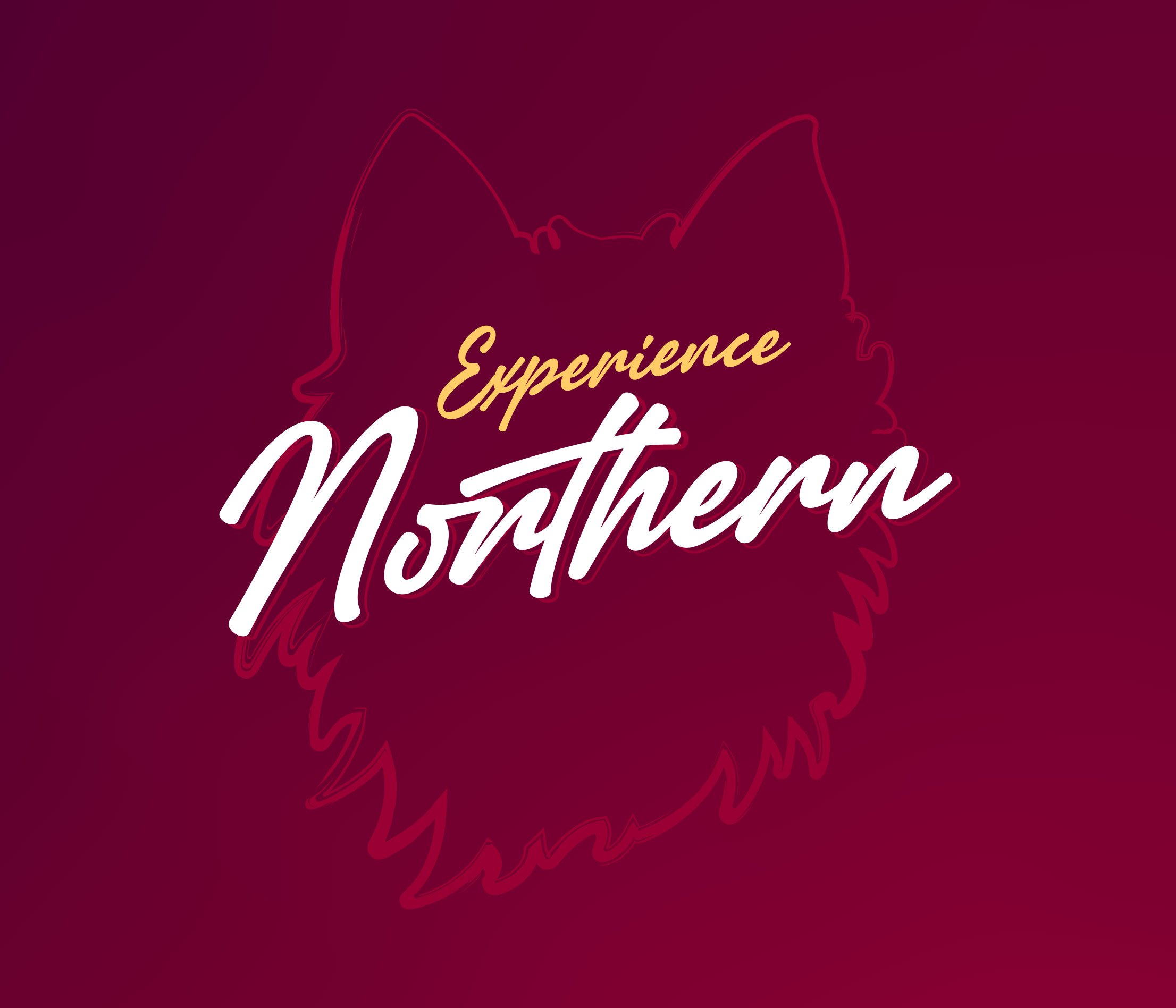 Background-Image_NSU