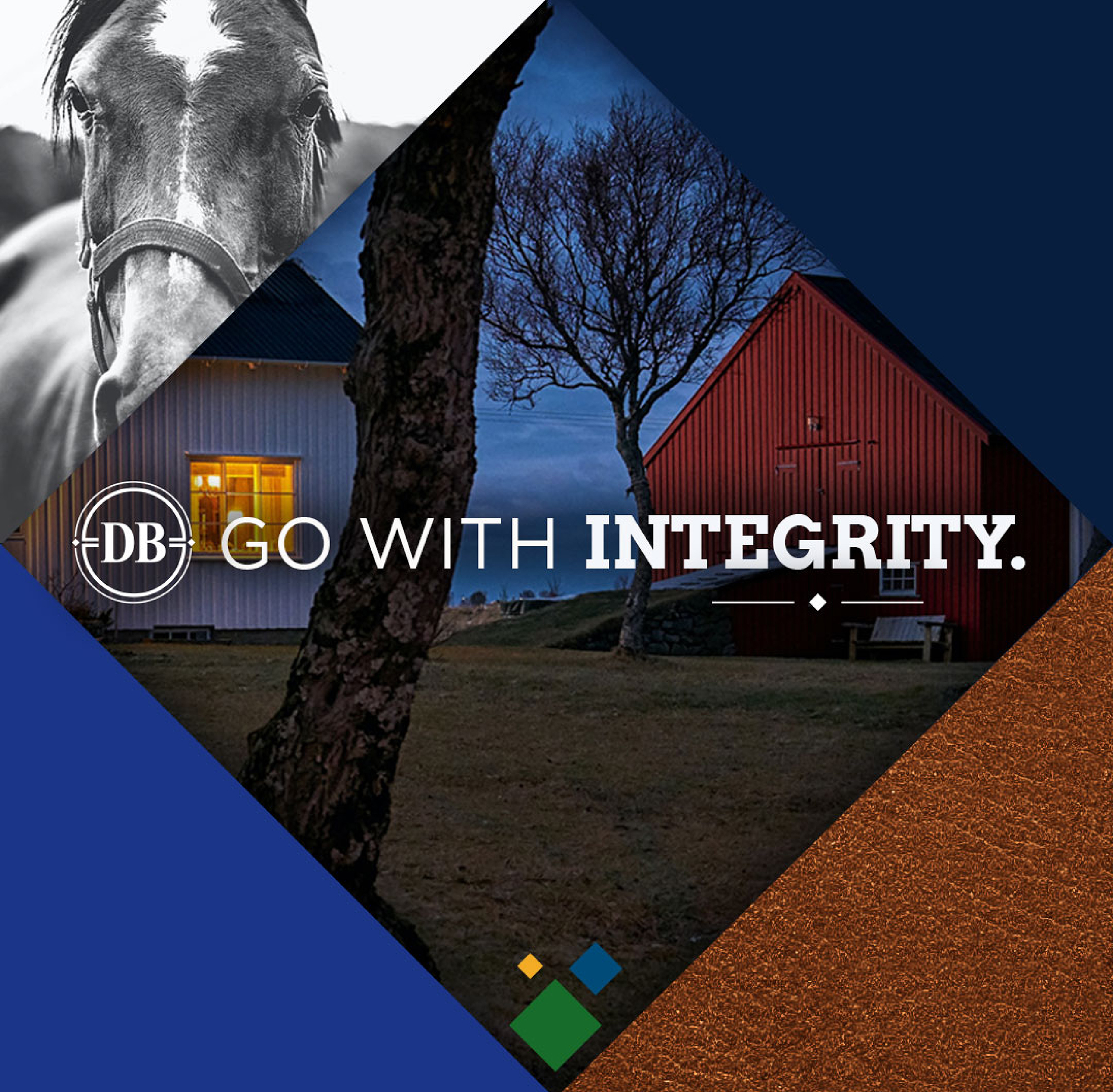 Go With Integrity