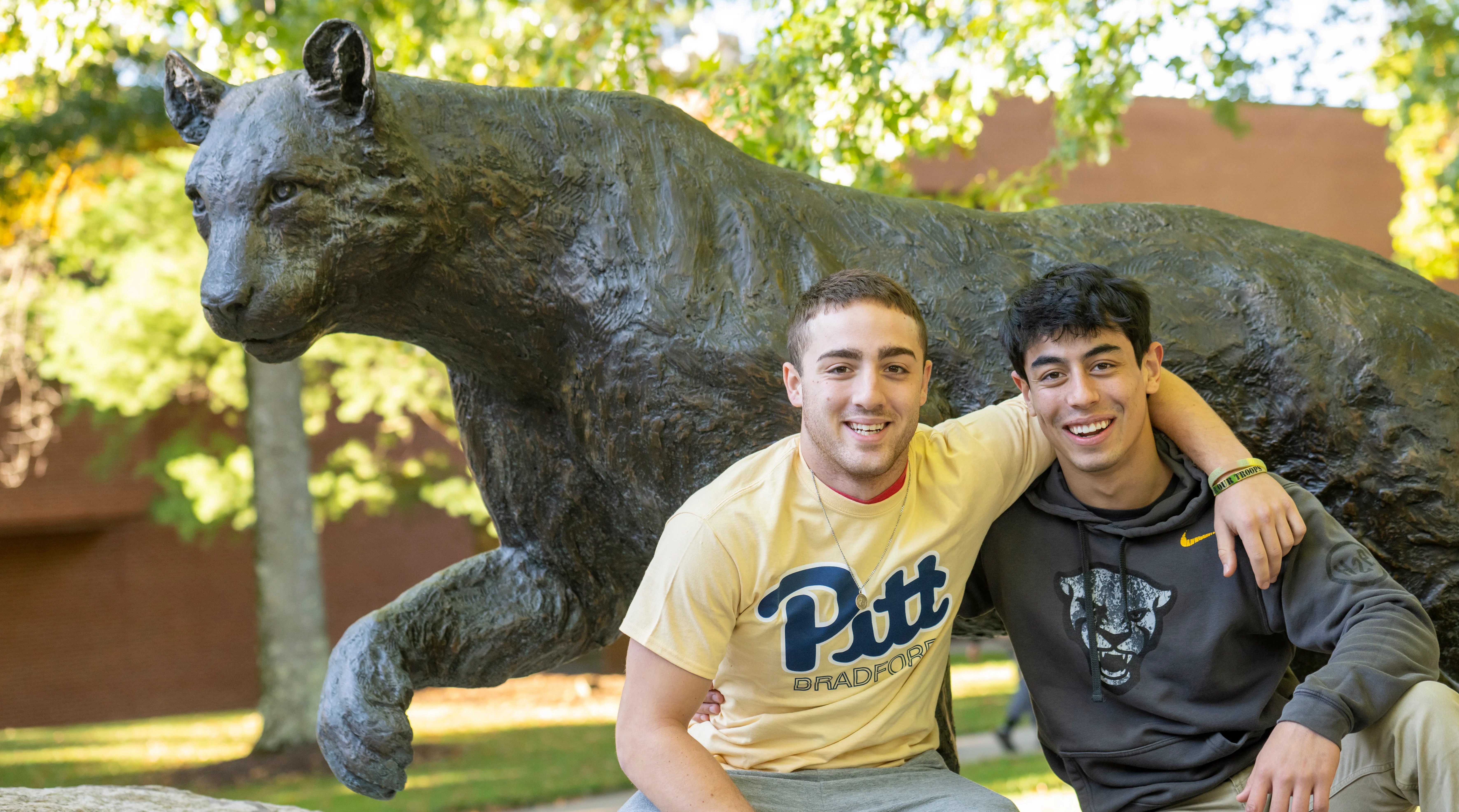 pitt panther-newest